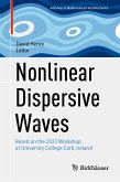 Nonlinear Dispersive Waves (eBook, PDF)