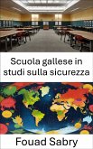 Scuola gallese in studi sulla sicurezza (eBook, ePUB)