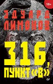 316, пункт "В" (eBook, ePUB)