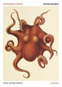 Natura instabile. Ordine, entropia, divenire - Perego, Auro Michele