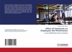 Effect of Teamwork on Employees Job Performance