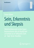 Sein, Erkenntnis und Skepsis (eBook, PDF)