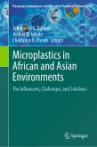 Microplastics in African and Asian Environments (eBook, PDF)