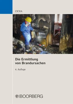 Cover Die Ermittlung von Brandursachen (eBook, PDF)