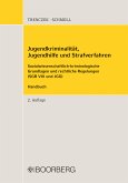 Jugendkriminalität, Jugendhilfe und Strafverfahren (eBook, PDF)