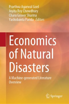 Economics of Natural Disasters (eBook, PDF)