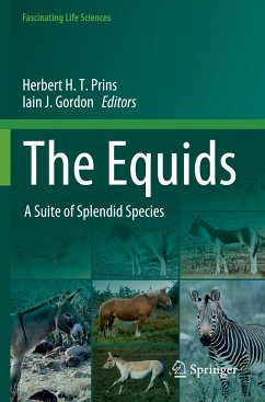 The Equids