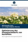 Optimierung des Phosphorbedarfs von Kartoffeln