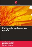 Cultivo de gerberas em estufa