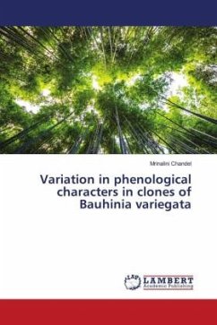 Variation in phenological characters in clones of Bauhinia variegata