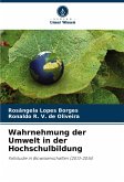 Wahrnehmung der Umwelt in der Hochschulbildung