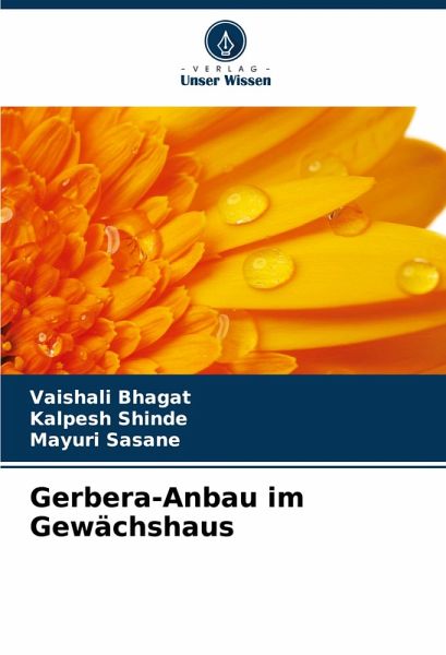 Gerbera-Anbau im Gewächshaus Gerbera-Anbau im Gewächshaus