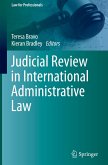Judicial Review in International Administrative Law