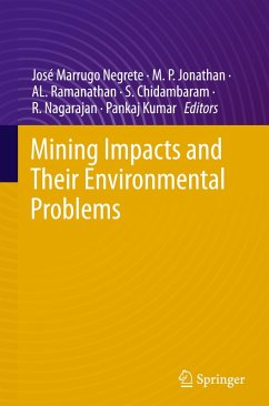Mining Impacts and their Environmental Problems