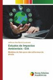 Estudos de Impactos Ambientais - EIA