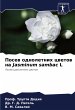 Posew odnoletnih cwetow na Jasminum... - Bild 1