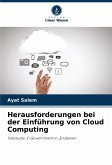 Herausforderungen bei der Einführung von Cloud Computing