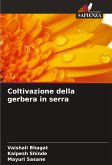 Coltivazione della gerbera in serra