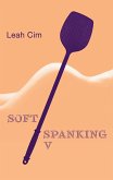 Softspanking V (eBook, ePUB)