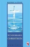 Wunderbares Christsein (eBook, ePUB)