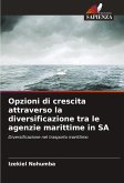 Opzioni di crescita attraverso la diversificazione tra le agenzie marittime in SA