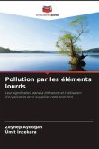 Pollution par les éléments lourds