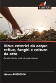 Virus enterici da acque reflue, fanghi e colture da orto