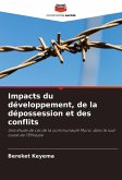 Impacts du développement, de la dépossession et des conflits