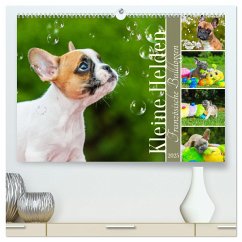 Kleine Helden - Französische Bulldoggen (hochwertiger Premium Wandkalender 2025 DIN A2 quer), Kunstdruck in Hochglanz