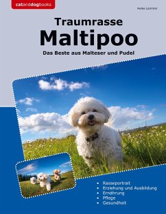 Traumrasse Maltipoo - Lammer, Heike