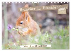 Bezaubernde Eichhörnchen (Wandkalender 2025 DIN A3 quer), CALVENDO Monatskalender