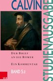 Der Brief an die Römer (eBook, PDF)