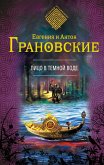 Лицо в темной воде (eBook, ePUB)