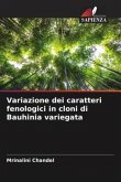 Variazione dei caratteri fenologici in cloni di Bauhinia variegata