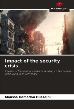 Impact of the security crisis - Ousseini, Moussa Hamadou