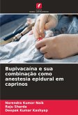 Bupivacaína e sua combinação como anestesia epidural em caprinos