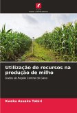 Utilização de recursos na produção de milho