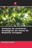 Variação de caracteres fenológicos em clones de Bauhinia variegata