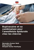 Bupivacaïne et sa combinaison pour l'anesthésie épidurale chez les chèvres