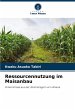 Ressourcennutzung im Maisanbau - Bild 1