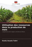 Utilisation des ressources dans la production de maïs Utilisation des ressources dans la production de maïs