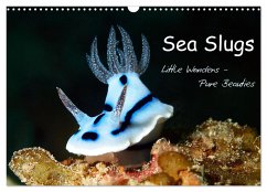 Sea Slugs - Little Wonders - Pure Beauties (Wall Calendar 2025 DIN A3 landscape), CALVENDO 12 Month Wall Calendar