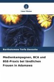 Medienkampagnen, BCA und BSE-Praxis bei ländlichen Frauen in Adamawa