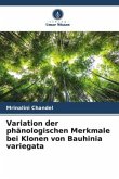 Variation der phänologischen Merkmale bei Klonen von Bauhinia variegata