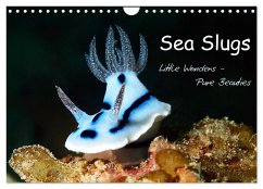 Sea Slugs - Little Wonders - Pure Beauties (Wall Calendar 2025 DIN A4 landscape), CALVENDO 12 Month Wall Calendar