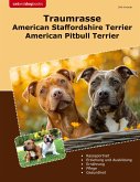 Traumrasse American Staffordshire Terrier