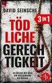 Tödliche Gerechtigkeit (eBook, ePUB)