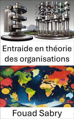 Entraide en théorie des organisations (eBook, ePUB) - Sabry, Fouad