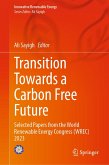Transition Towards a Carbon Free Future (eBook, PDF)