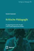 Kritische Pädagogik (eBook, PDF)